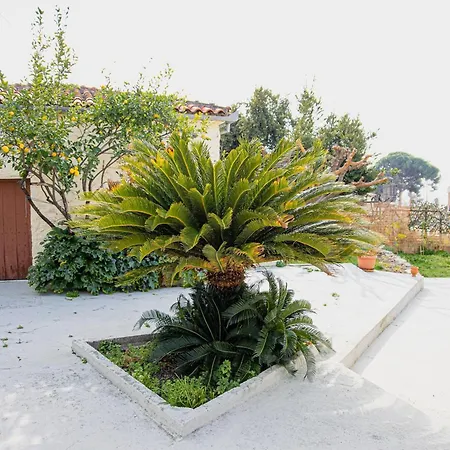 Casa de Férias Myrtilli Pelion *