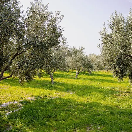 بيت للعطل Myrtilli Pelion